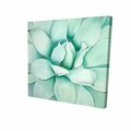 Fondo 12 x 12 in. Succulent Closeup-Print on Canvas FO2789454